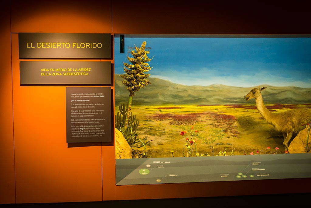 Santiago - Museu Nacional de História Natural 2