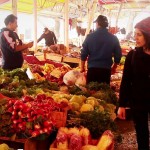 Mercado Fluvial de Valdívia