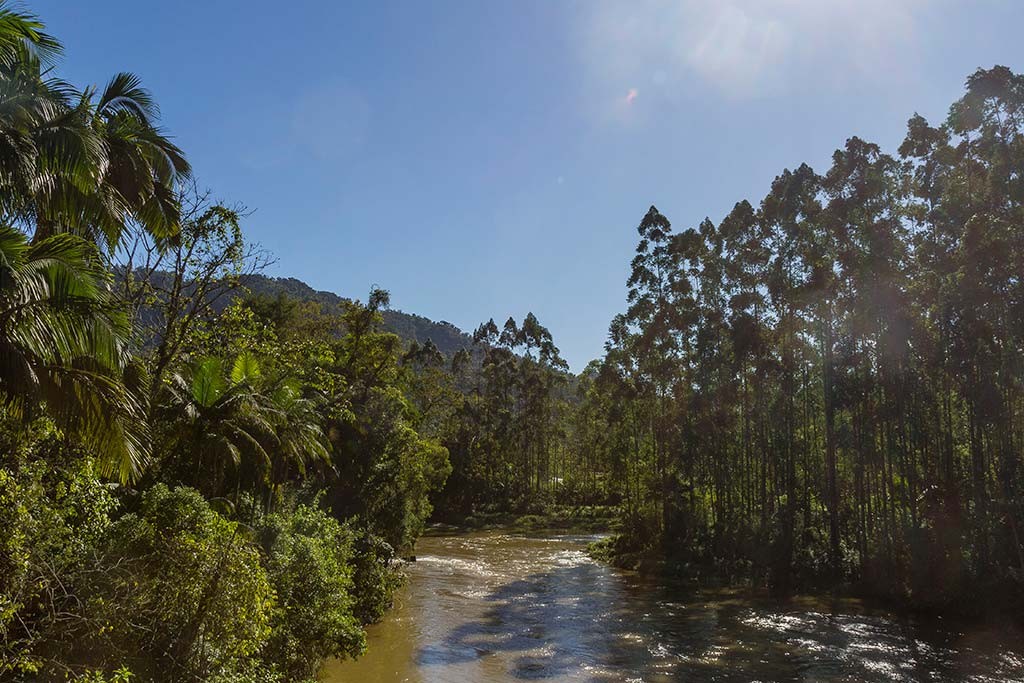 Pedal e Trekking Morro Pelado - Schroeder - Rio Itapocuzinho e divisa com Jaraguá